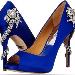 Badgley Mischka Women's Royal Dress Pump W10